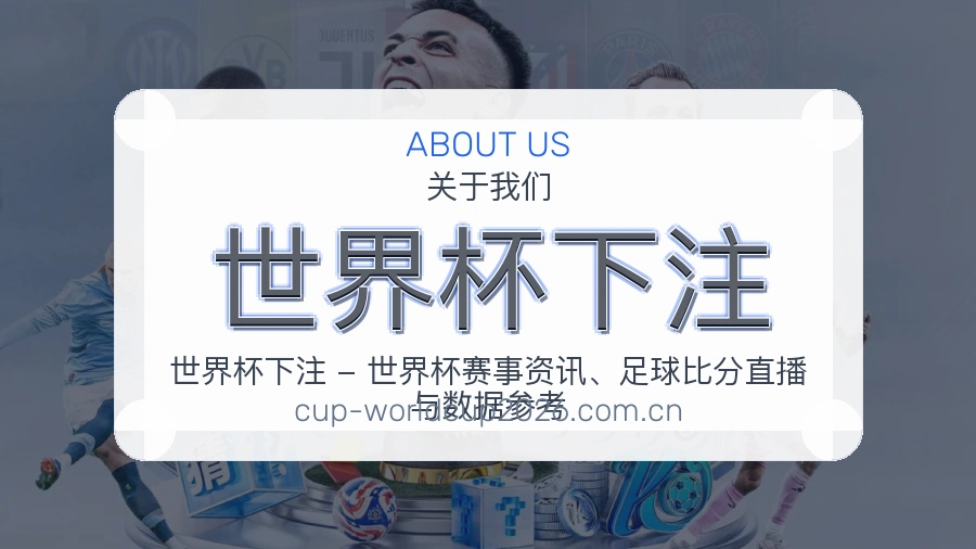 世界杯下注 平台服务与理性提示说明